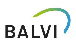 BALVI - IT-Dienstleistungen